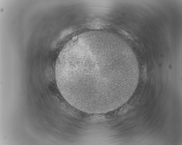 X0000052601446200507292111