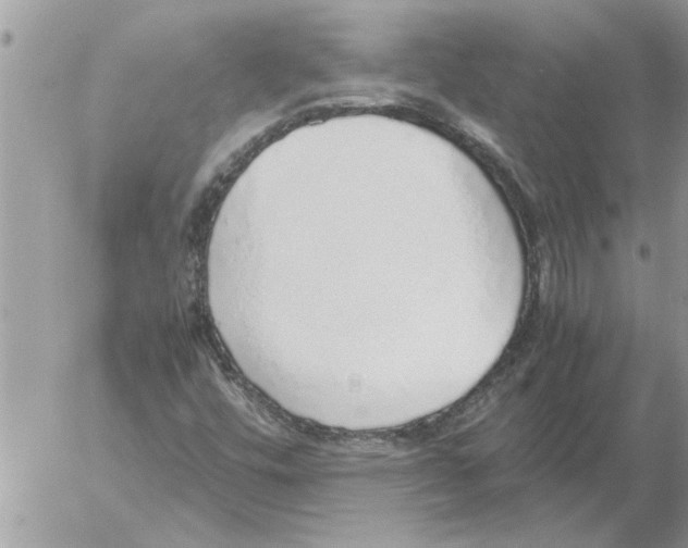 X0000052601448200507292111