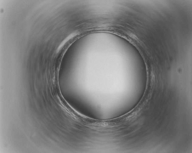 X0000052601450200507292111