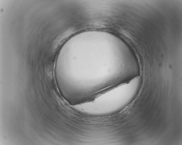 X0000052601451200507292111