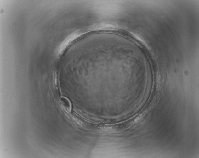 X0000052601455200507292110