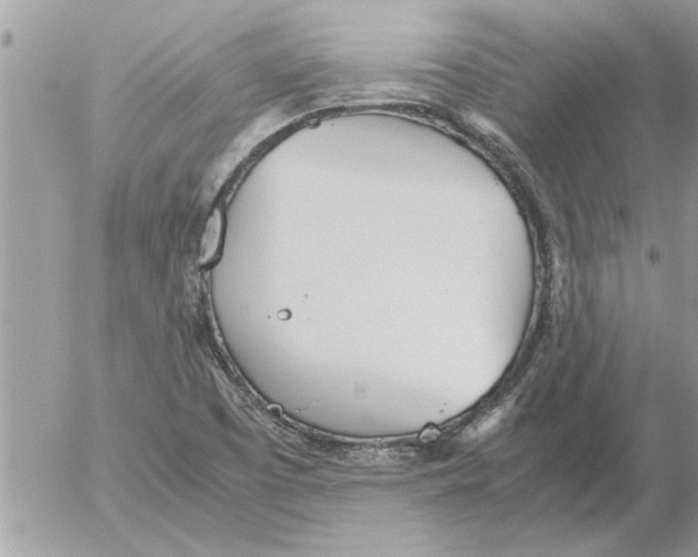 X0000052601457200507292110