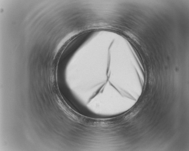 X0000052601458200507292110