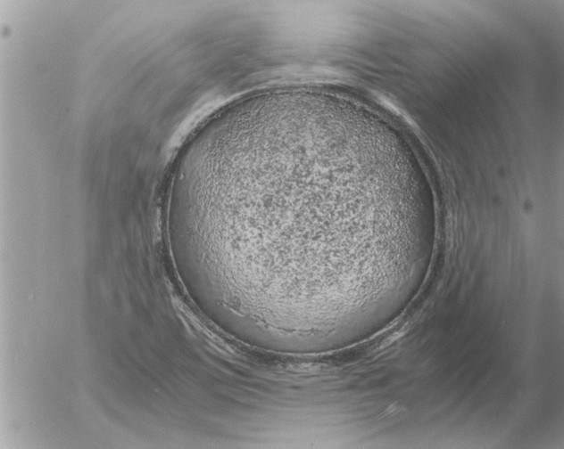 X0000052601459200507292110