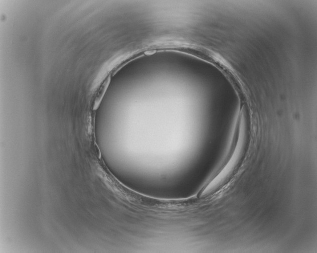 X0000052601461200507292110