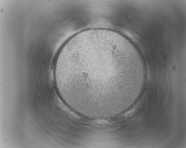 X0000052601462200507292110