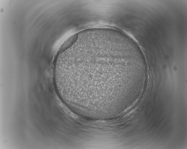 X0000052601463200507292110