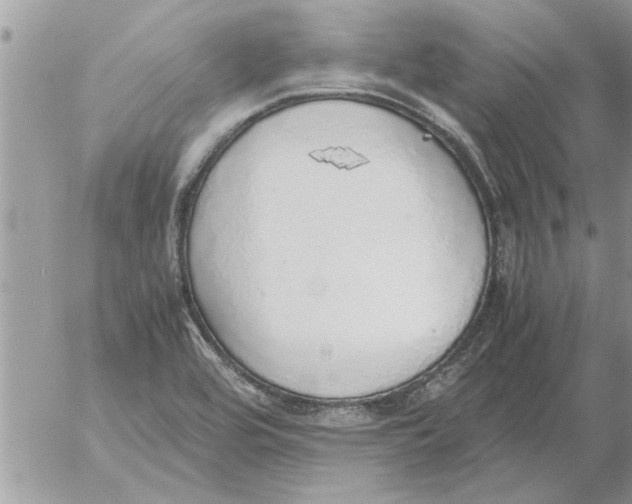 X0000052601464200507292110