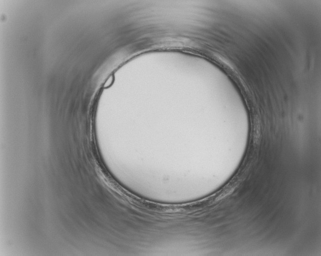 X0000052601467200507292110