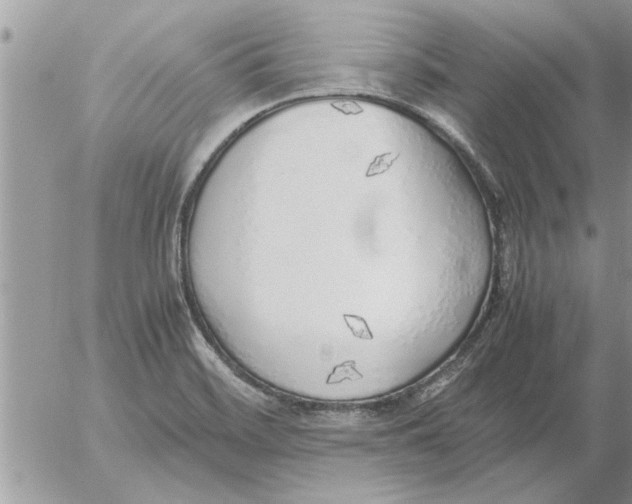 X0000052601468200507292110