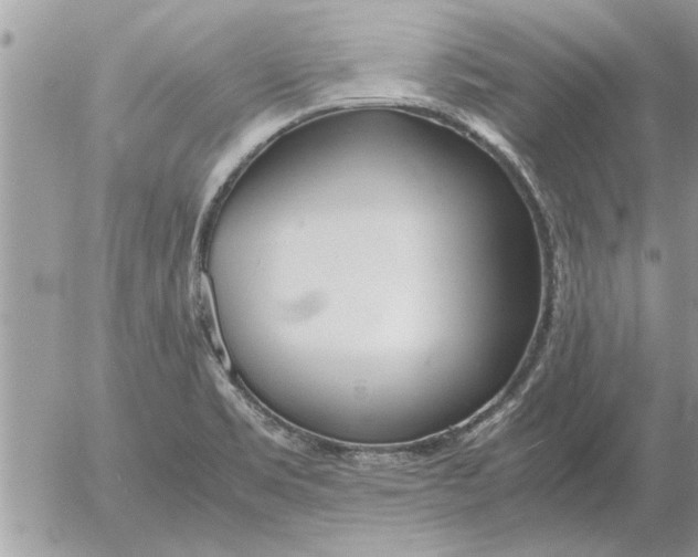 X0000052601469200507292110