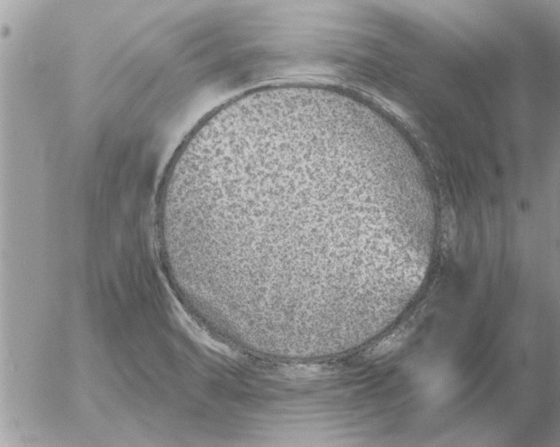 X0000052601470200507292110