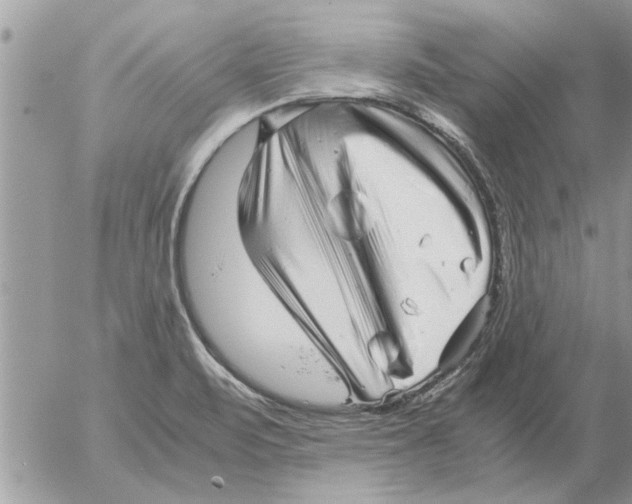 X0000052601471200507292110