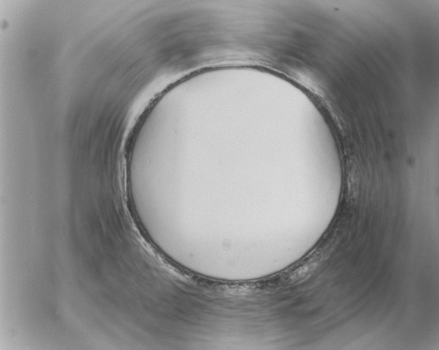 X0000052601472200507292110