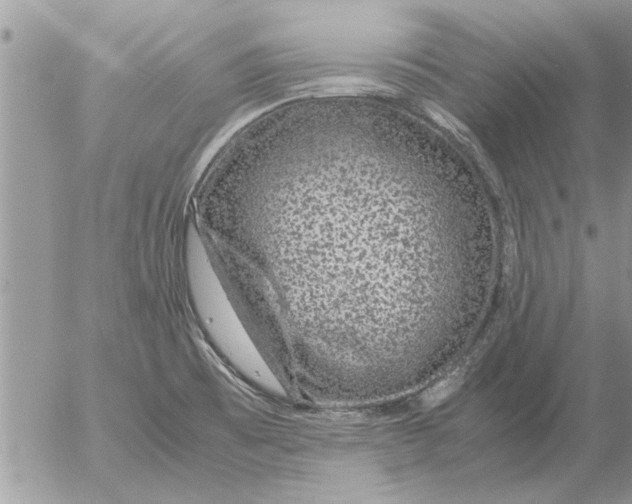 X0000052601473200507292110