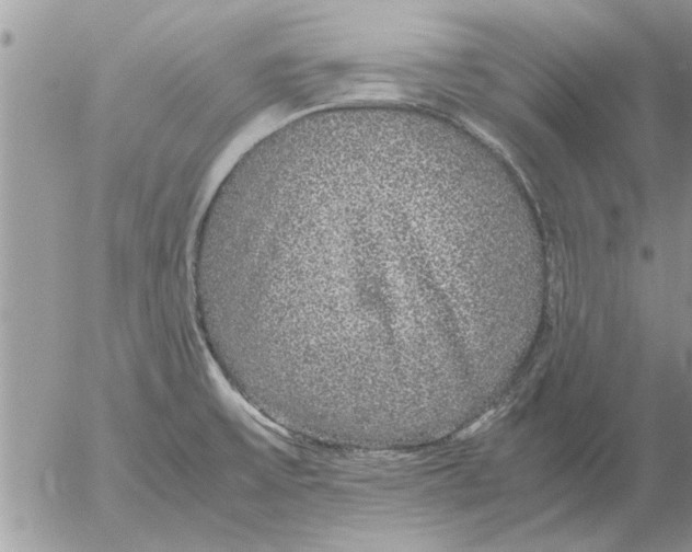 X0000052601475200507292110