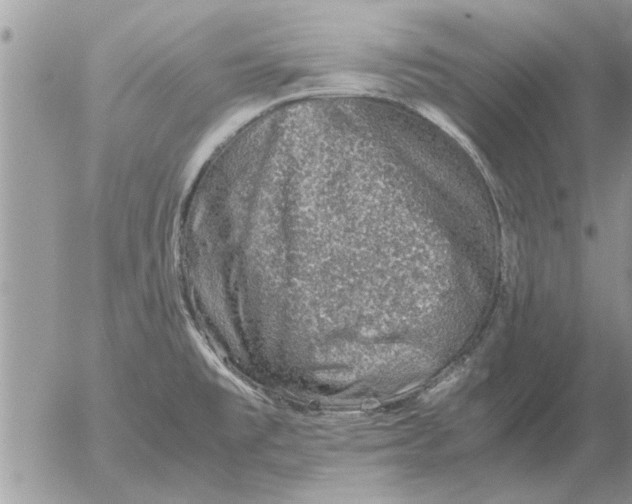 X0000052601477200507292110