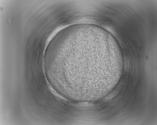 X0000052601478200507292110