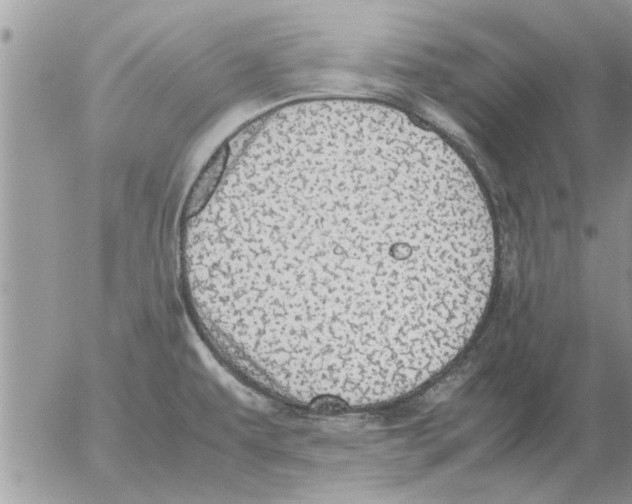 X0000052601479200507292110