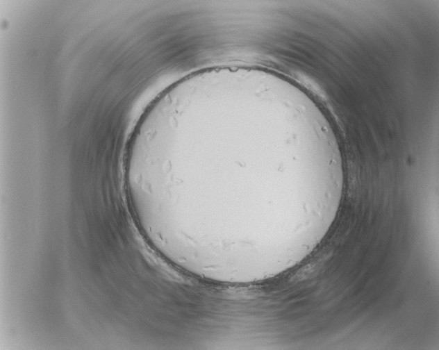 X0000052601480200507292110