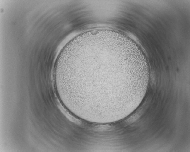 X0000052601482200507292110