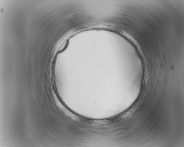 X0000052601483200507292110