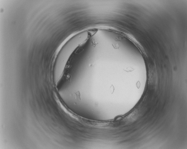 X0000052601484200507292110