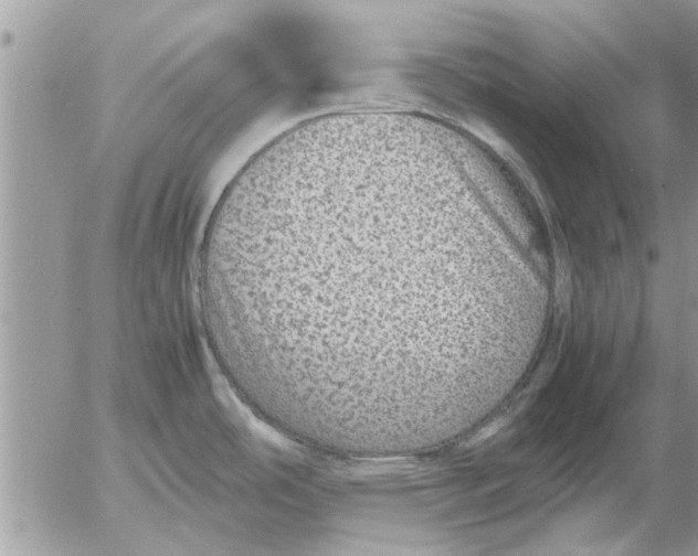 X0000052601486200507292110