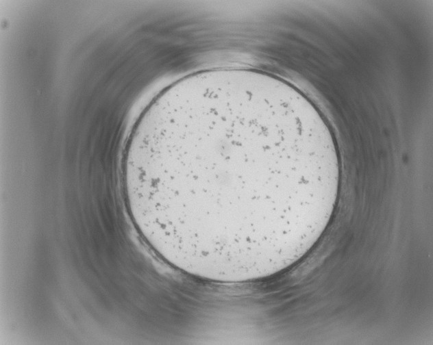 X0000052601488200507292110