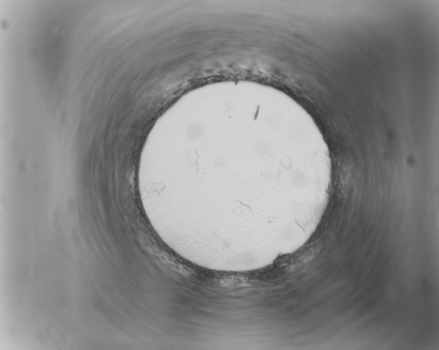 X0000052601489200507292109