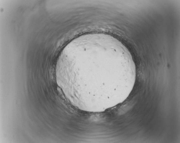 X0000052601490200507292109