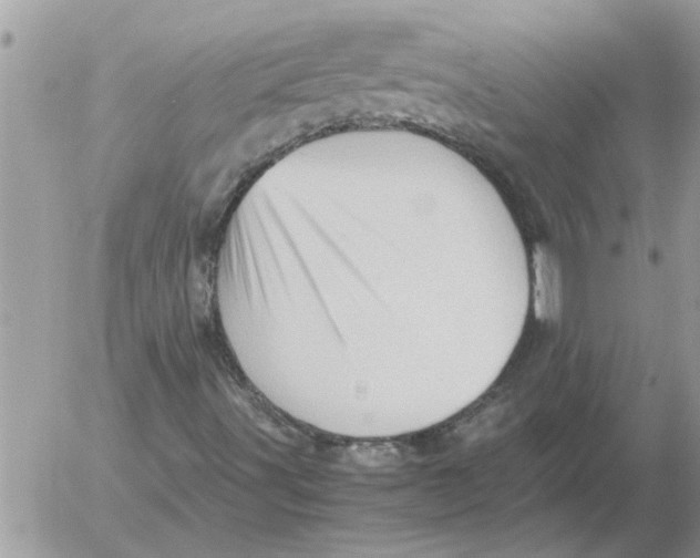 X0000052601491200507292109