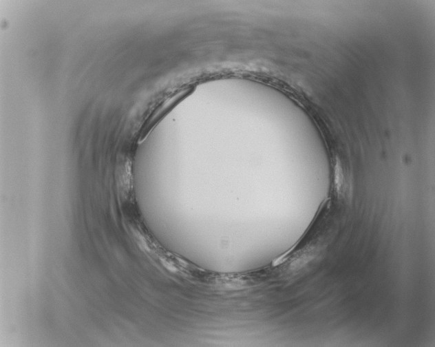 X0000052601492200507292109