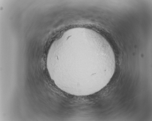 X0000052601493200507292109