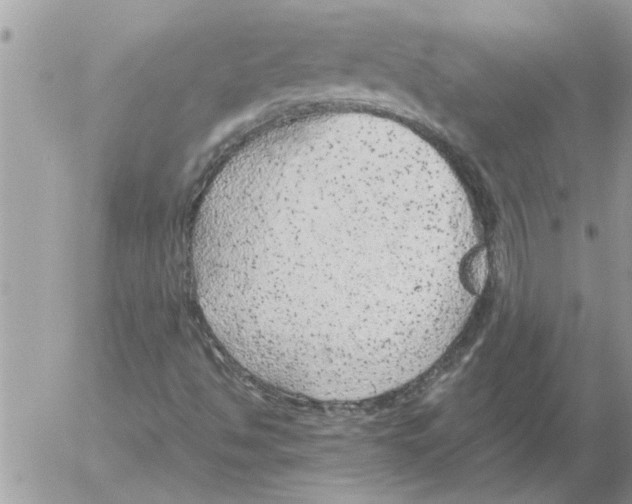 X0000052601494200507292109