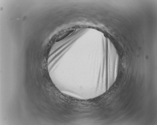 X0000052601495200507292109