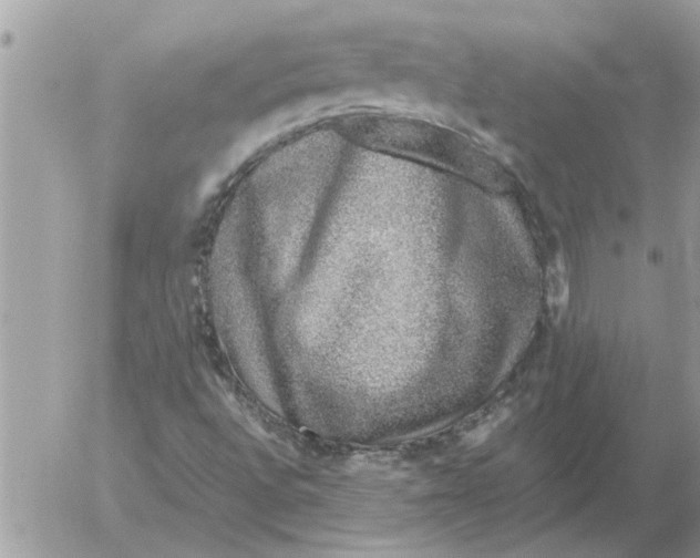 X0000052601496200507292109