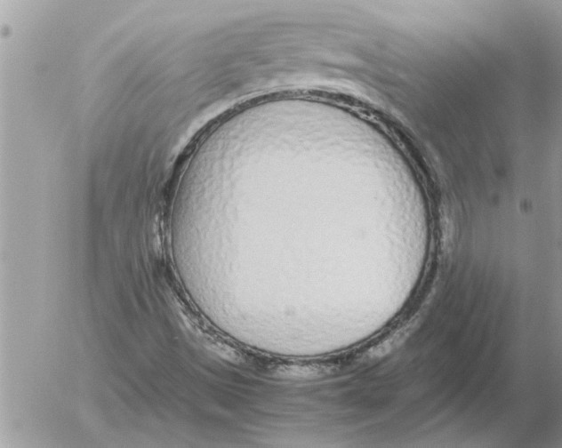 X0000052601497200507292109