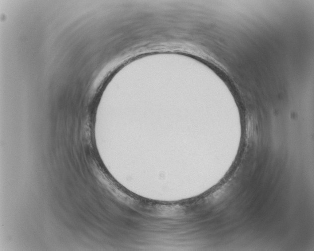 X0000052601498200507292109