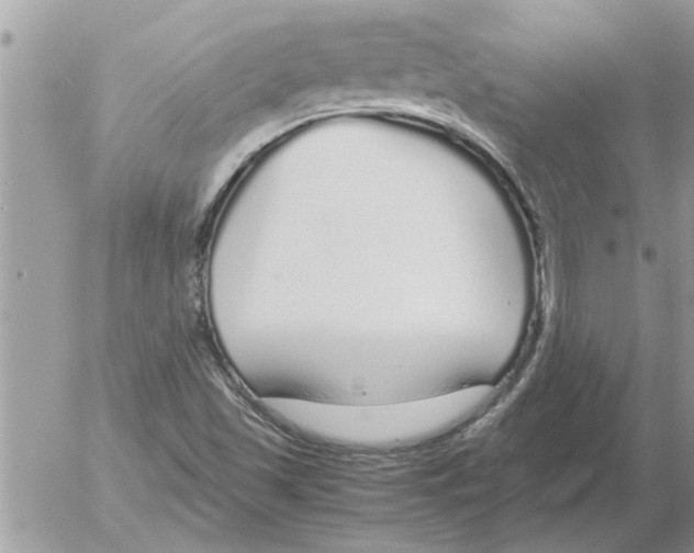 X0000052601501200507292109