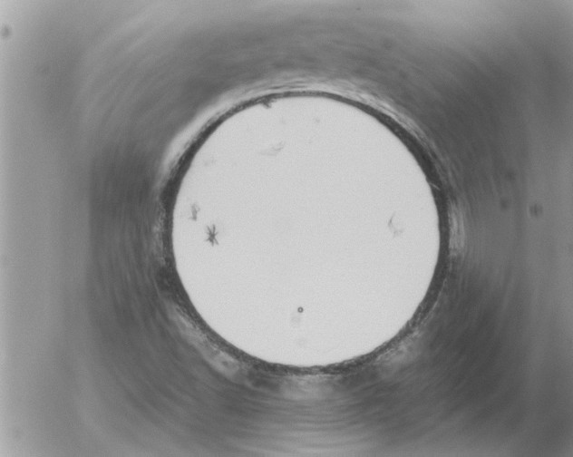 X0000052601502200507292109