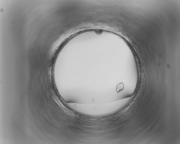 X0000052601503200507292109