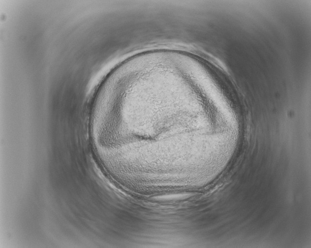 X0000052601504200507292109