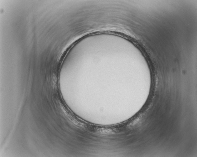 X0000052601505200507292109