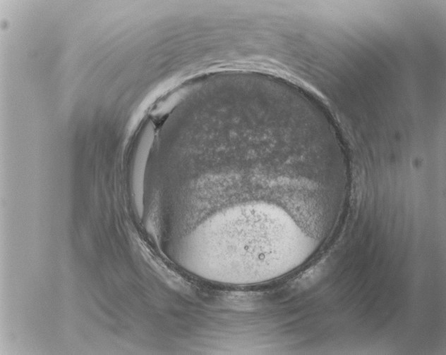 X0000052601506200507292109