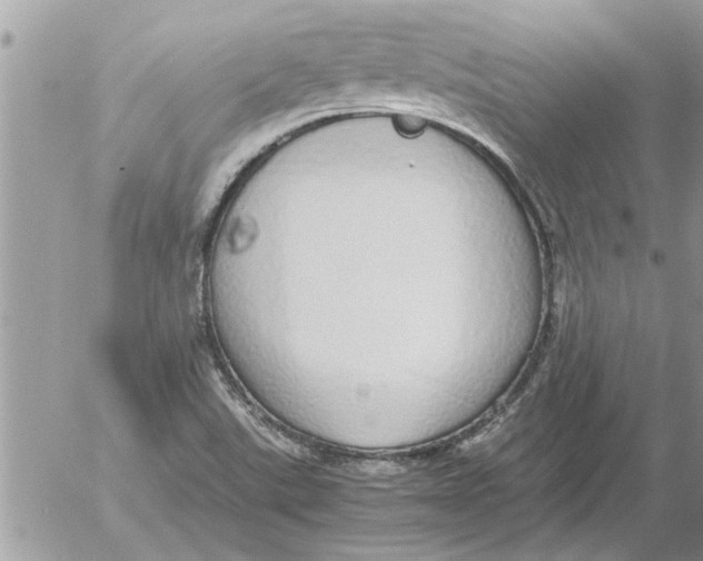 X0000052601507200507292109