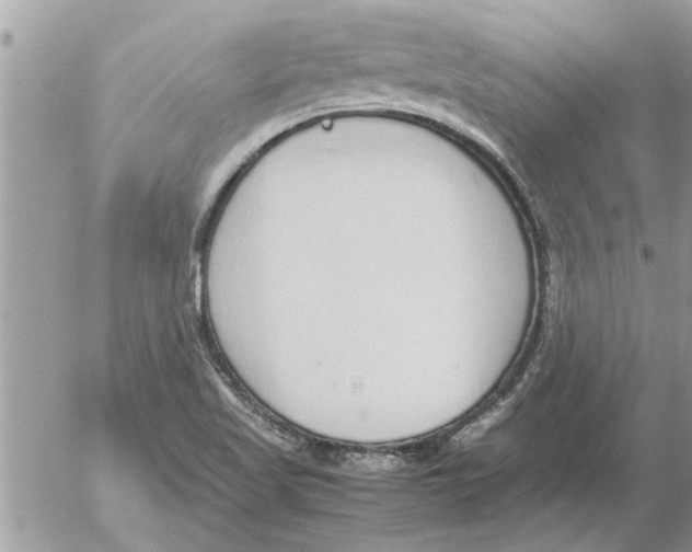 X0000052601509200507292109