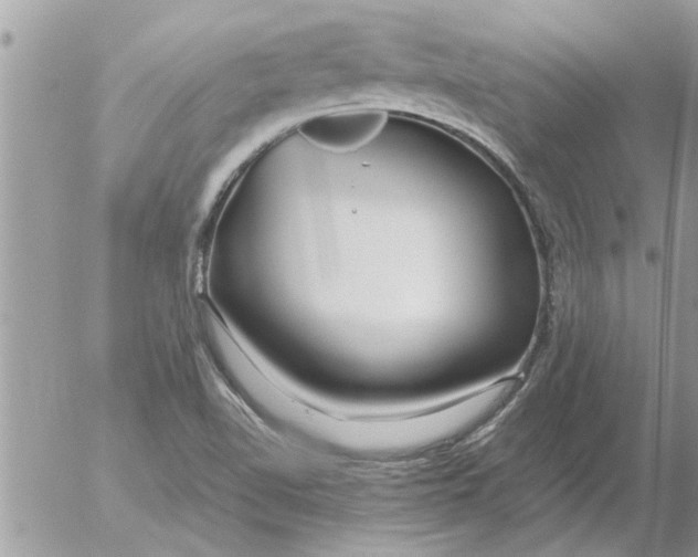 X0000052601510200507292109