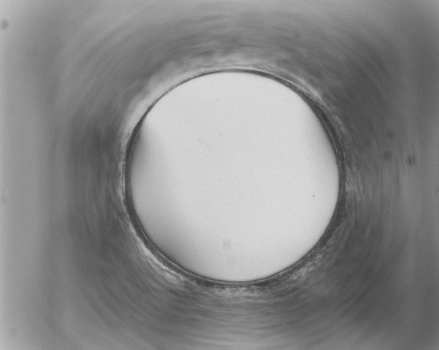 X0000052601512200507292110