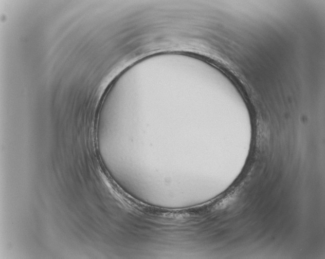 X0000052601513200507292110